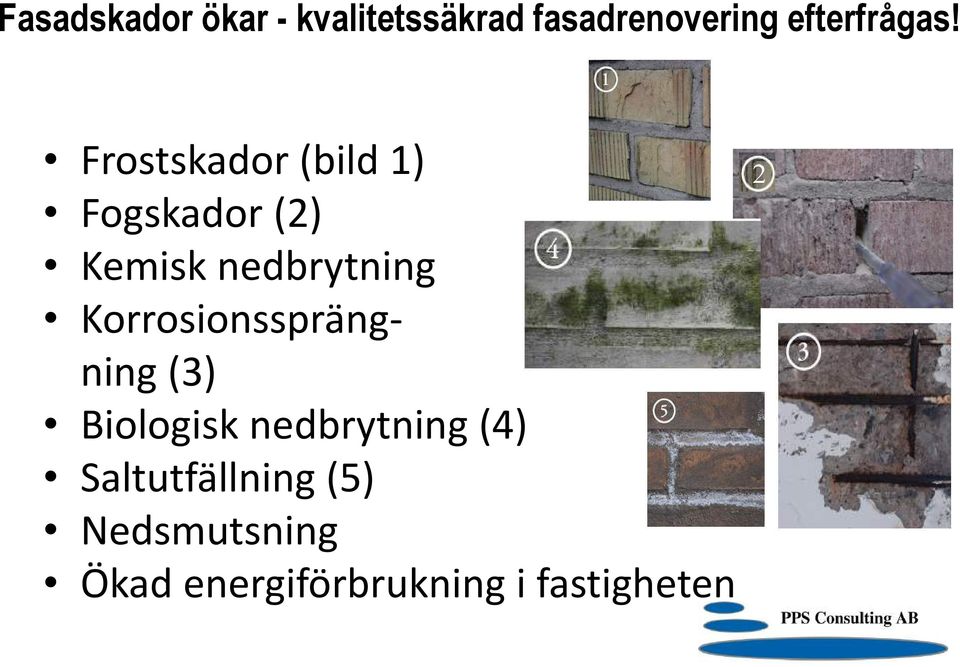 Frostskador (bild 1) Fogskador (2) Kemisk nedbrytning