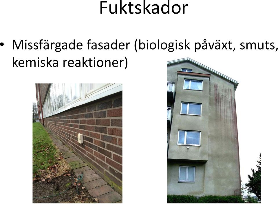 fasader (biologisk