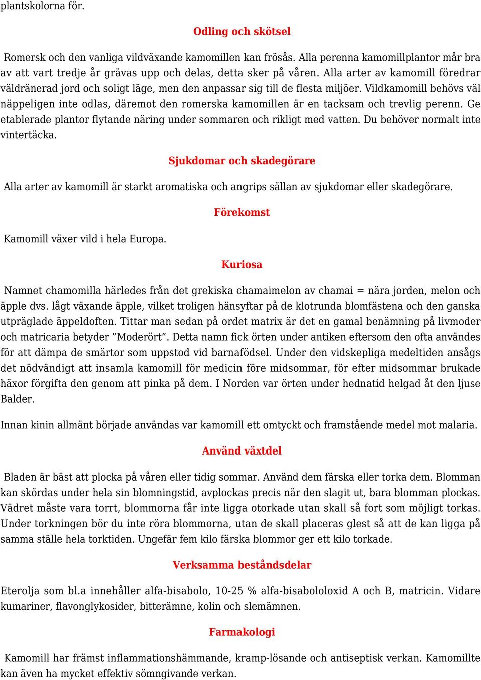 Vildkamomill behövs väl näppeligen inte odlas, däremot den romerska kamomillen är en tacksam och trevlig perenn. Ge etablerade plantor flytande näring under sommaren och rikligt med vatten.