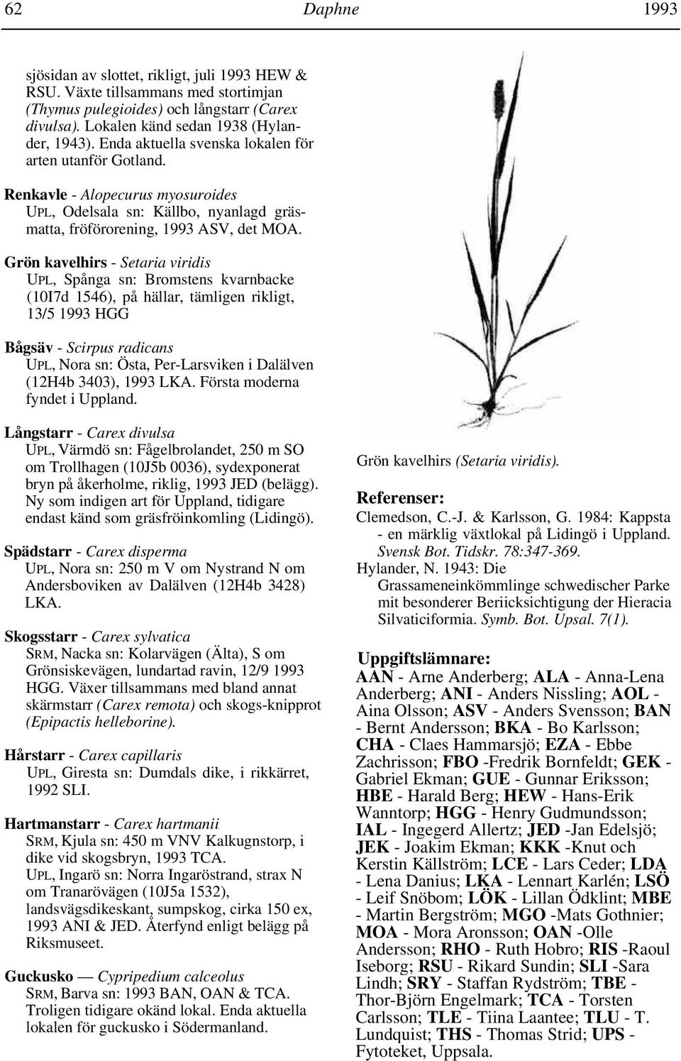 Grön kavelhirs - Setaria viridis UPL, Spånga sn: Bromstens kvarnbacke (10I7d 1546), på hällar, tämligen rikligt, 13/5 1993 HGG Bågsäv - Scirpus radicans UPL, Nora sn: Östa, Per-Larsviken i Dalälven