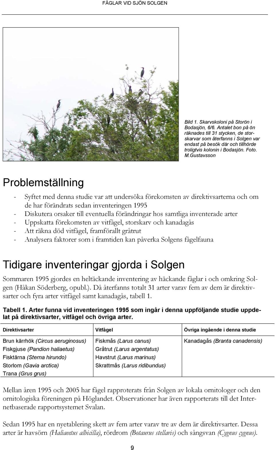 Gustavsson Problemställning - Syftet med denna studie var att undersöka förekomsten av direktivsarterna och om de har förändrats sedan inventeringen 1995 - Diskutera orsaker till eventuella