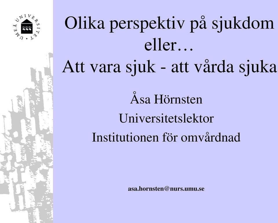 Hörnsten Universitetslektor