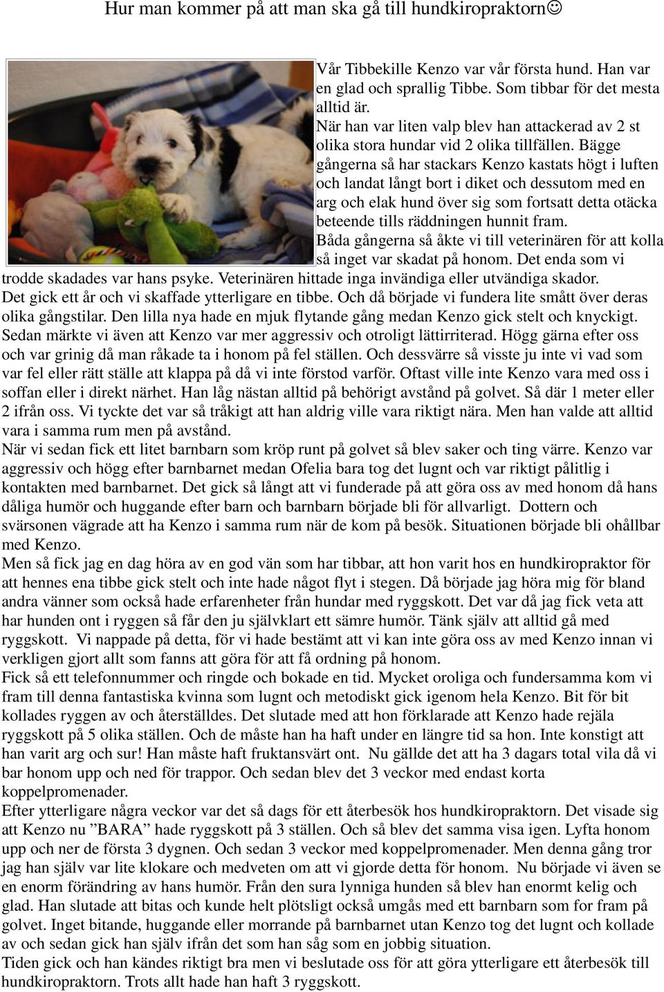 Bägge gångerna så har stackars Kenzo kastats högt i luften och landat långt bort i diket och dessutom med en arg och elak hund över sig som fortsatt detta otäcka beteende tills räddningen hunnit fram.