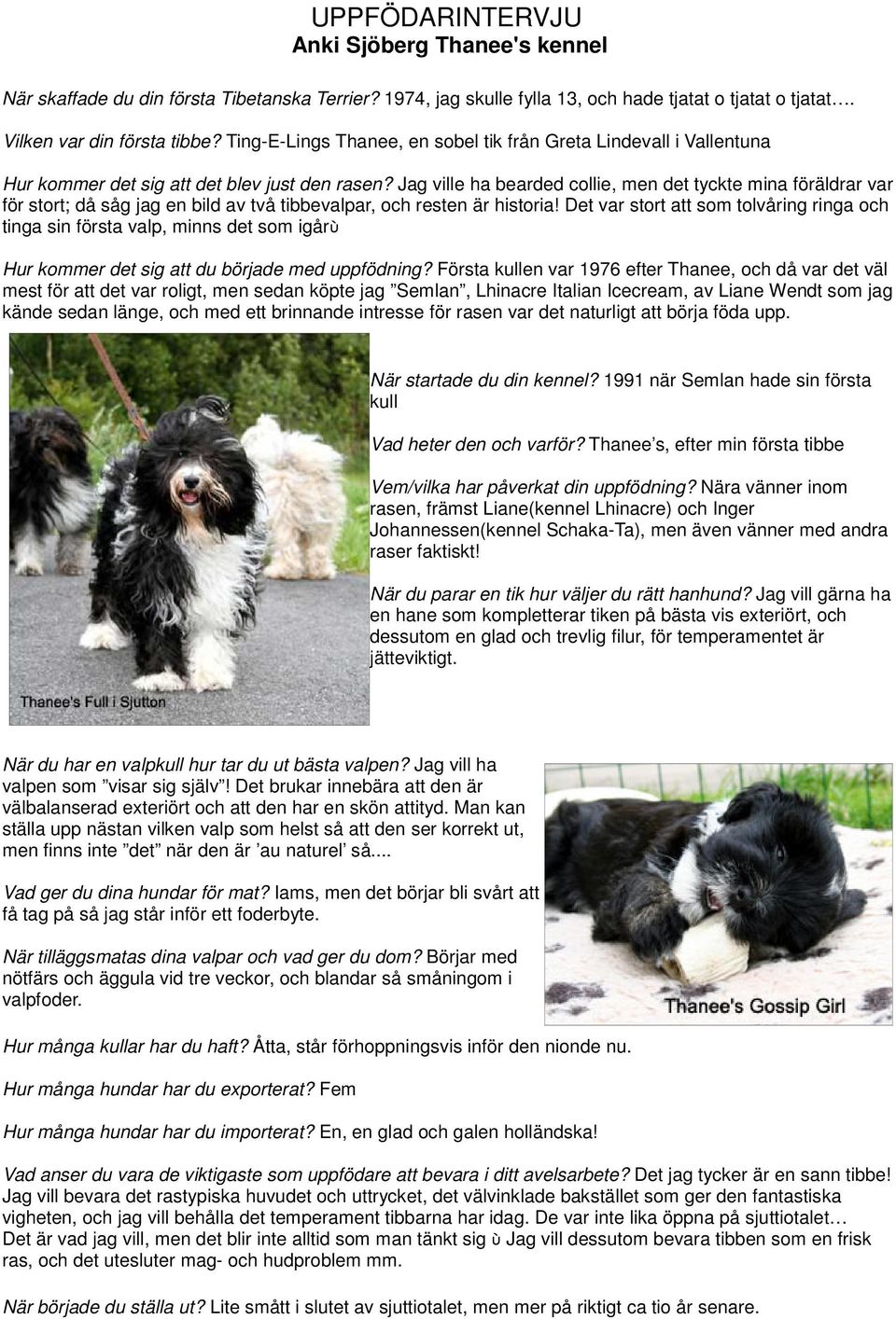 Jag ville ha bearded collie, men det tyckte mina föräldrar var för stort; då såg jag en bild av två tibbevalpar, och resten är historia!