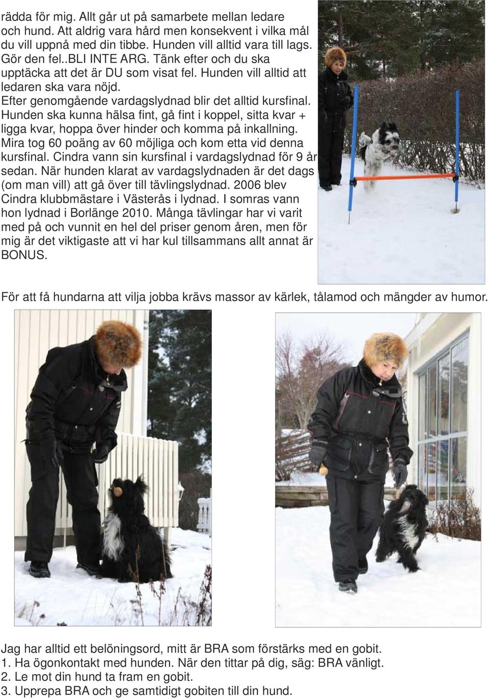Hunden ska kunna hälsa fint, gå fint i koppel, sitta kvar + ligga kvar, hoppa över hinder och komma på inkallning. Mira tog 60 poäng av 60 möjliga och kom etta vid denna kursfinal.