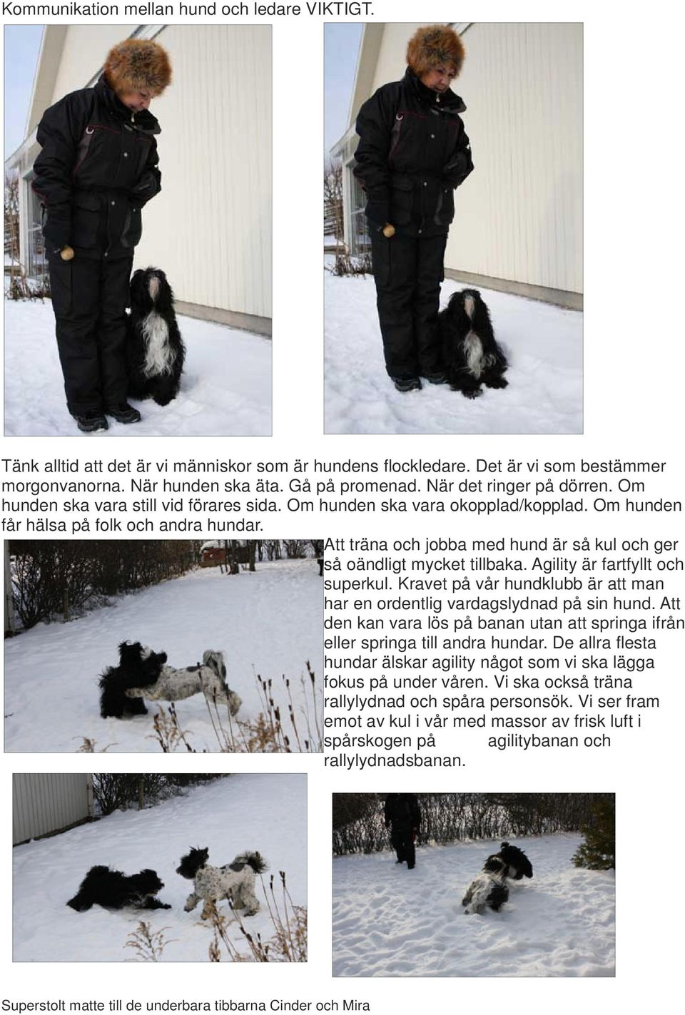 Att träna och jobba med hund är så kul och ger så oändligt mycket tillbaka. Agility är fartfyllt och superkul. Kravet på vår hundklubb är att man har en ordentlig vardagslydnad på sin hund.
