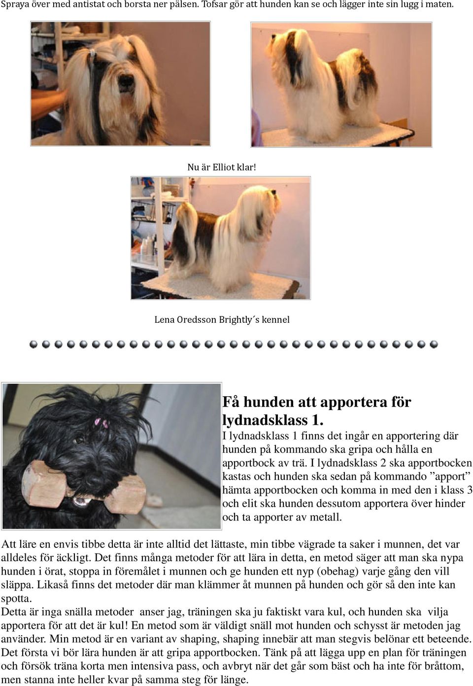 I lydnadsklass 2 ska apportbocken kastas och hunden ska sedan på kommando apport hämta apportbocken och komma in med den i klass 3 och elit ska hunden dessutom apportera över hinder och ta apporter