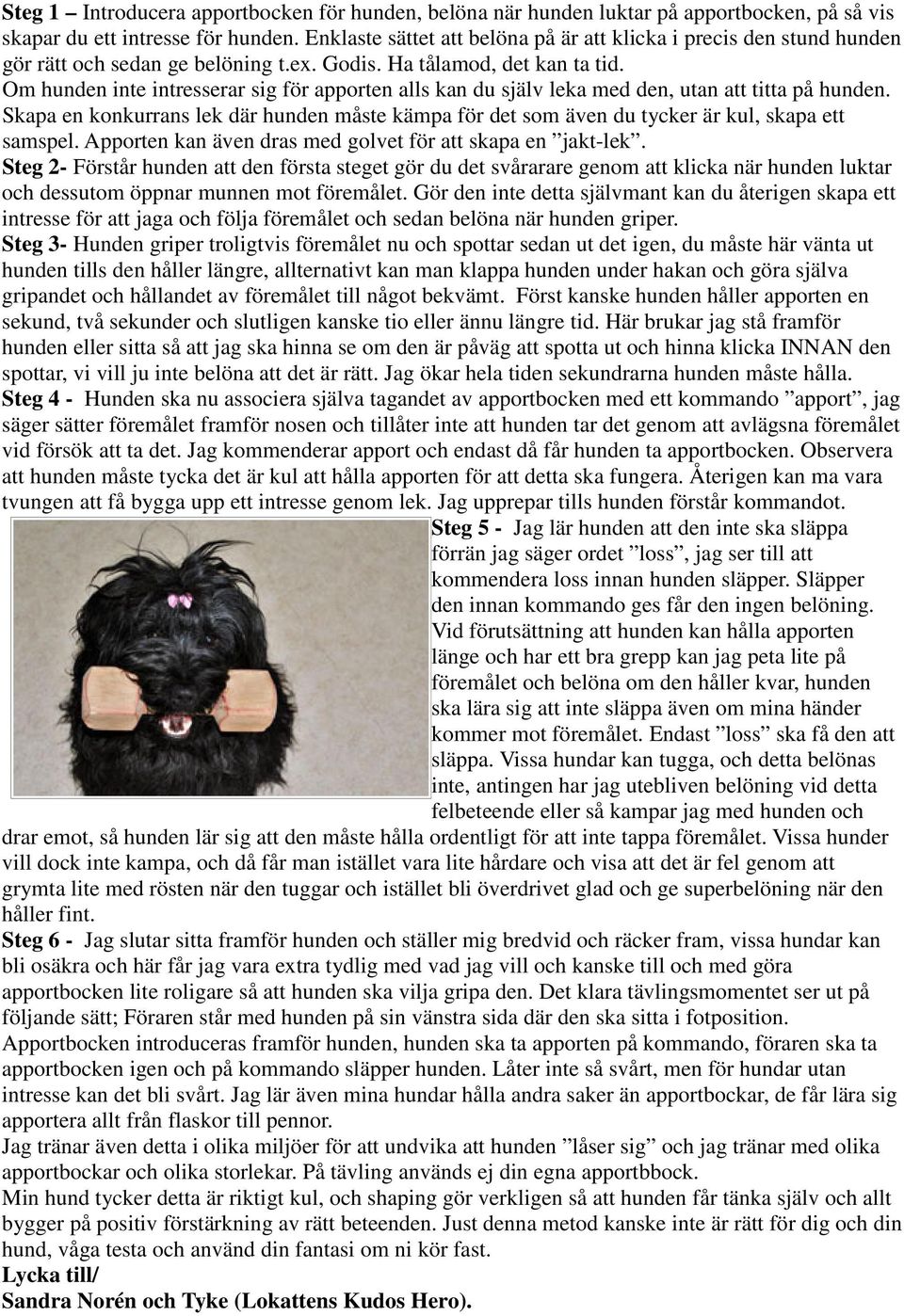 Om hunden inte intresserar sig för apporten alls kan du själv leka med den, utan att titta på hunden.