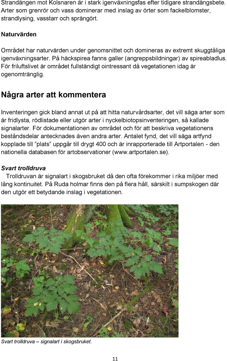 För friluftslivet är området fullständigt ointressant då vegetationen idag är ogenomtränglig.