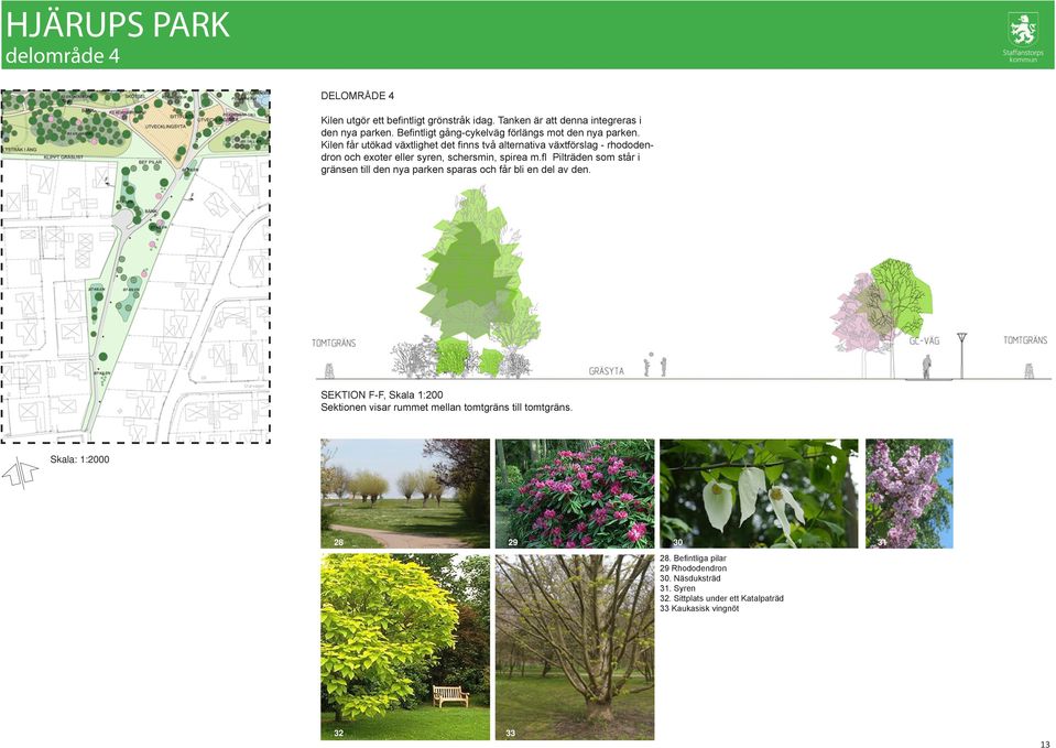 Kilen får utökad växtlighet det finns två alternativa växtförslag - rhododendron och exoter eller syren, schersmin, spirea m.