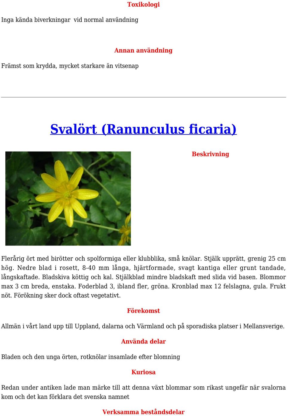 Stjälkblad mindre bladskaft med slida vid basen. Blommor max 3 cm breda, enstaka. Foderblad 3, ibland fler, gröna. Kronblad max 12 felslagna, gula. Frukt nöt. Förökning sker dock oftast vegetativt.