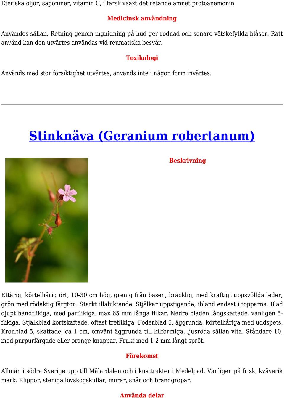 Stinknäva (Geranium robertanum) Ettårig, körtelhårig ört, 10-30 cm hög, grenig från basen, bräcklig, med kraftigt uppsvöllda leder, grön med rödaktig färgton. Starkt illaluktande.