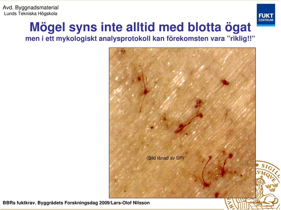 mykologiskt analysprotokoll kan