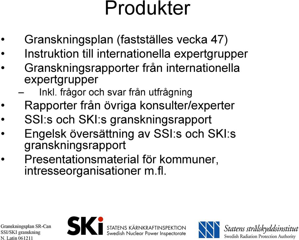 frågor och svar från utfrågning Rapporter från övriga konsulter/experter SSI:s och SKI:s