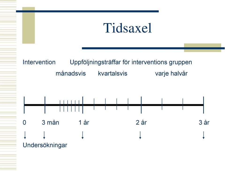 interventions gruppen månadsvis