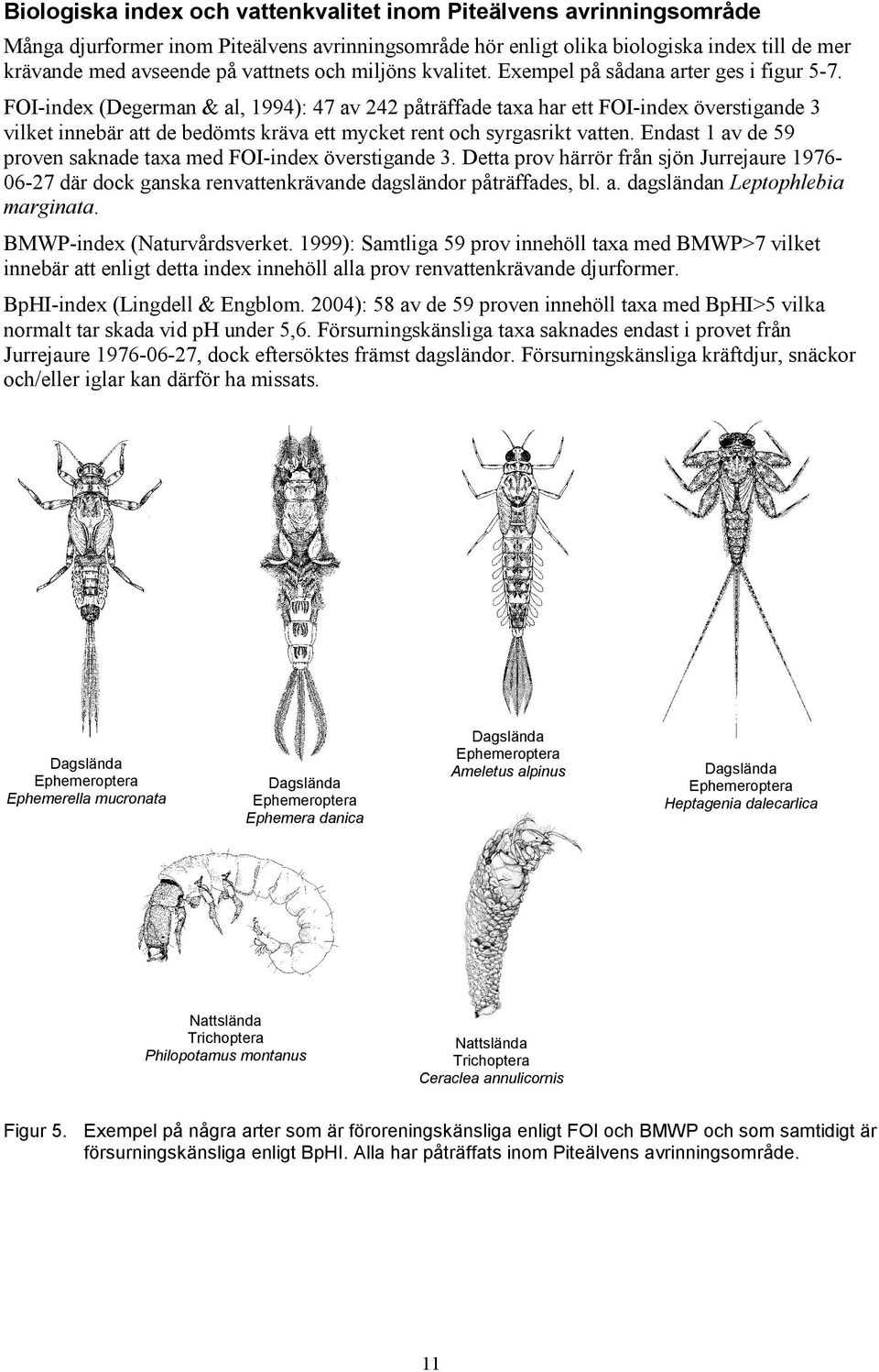 FOI-index (Degerman & al, 1994): 47 av 242 påträffade taxa har ett FOI-index överstigande 3 vilket innebär att de bedömts kräva ett mycket rent och syrgasrikt vatten.