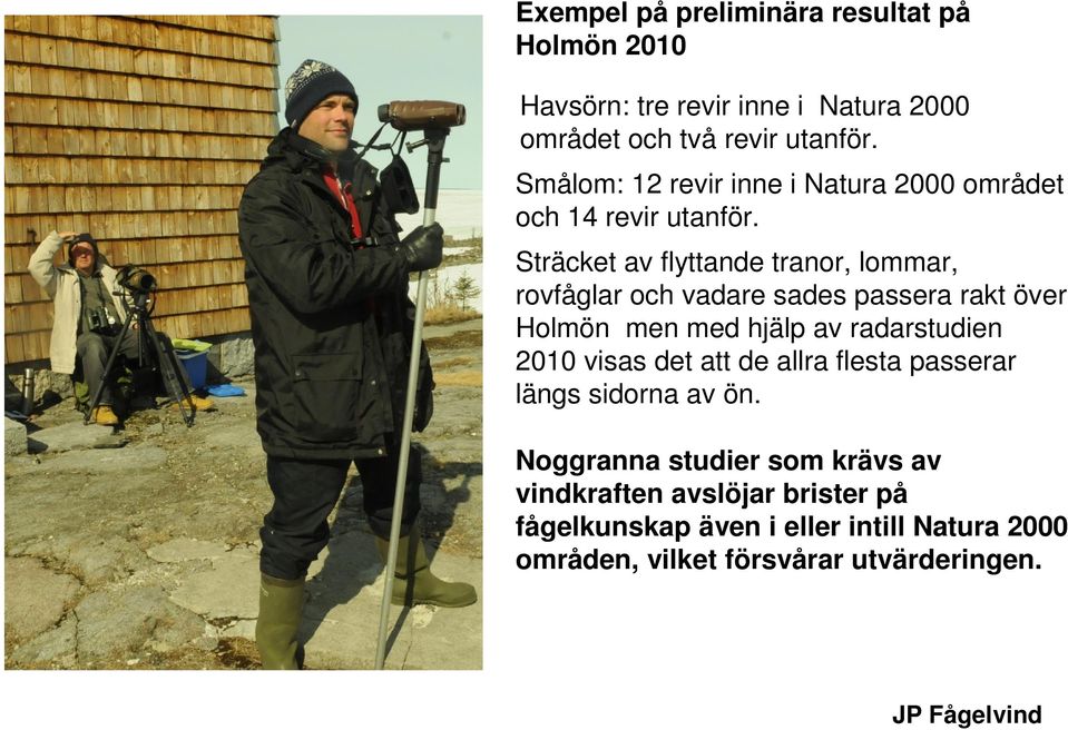 Sträcket av flyttande tranor, lommar, rovfåglar och vadare sades passera rakt över Holmön men med hjälp av radarstudien 2010