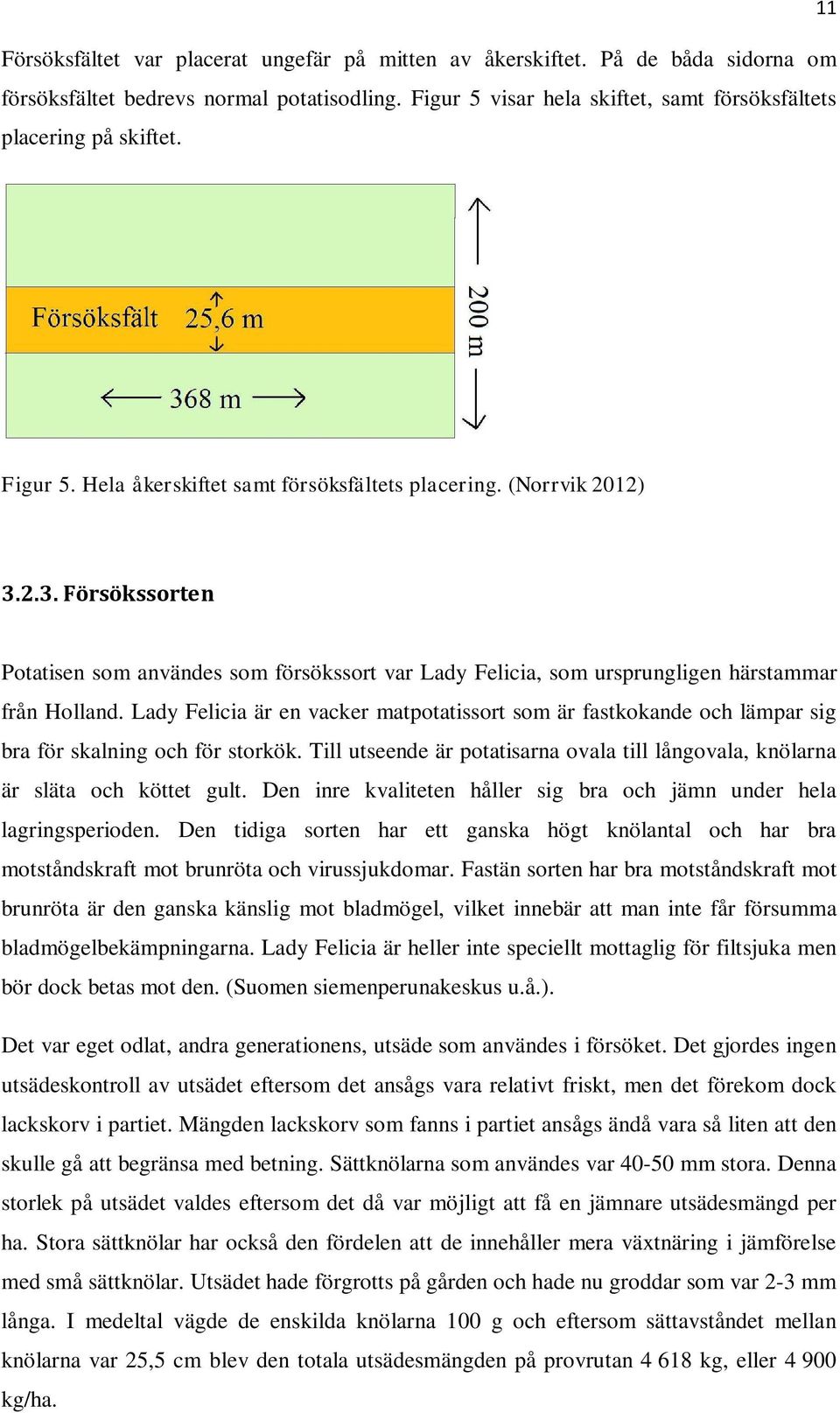 Lady Felicia är en vacker matpotatissort som är fastkokande och lämpar sig bra för skalning och för storkök. Till utseende är potatisarna ovala till långovala, knölarna är släta och köttet gult.