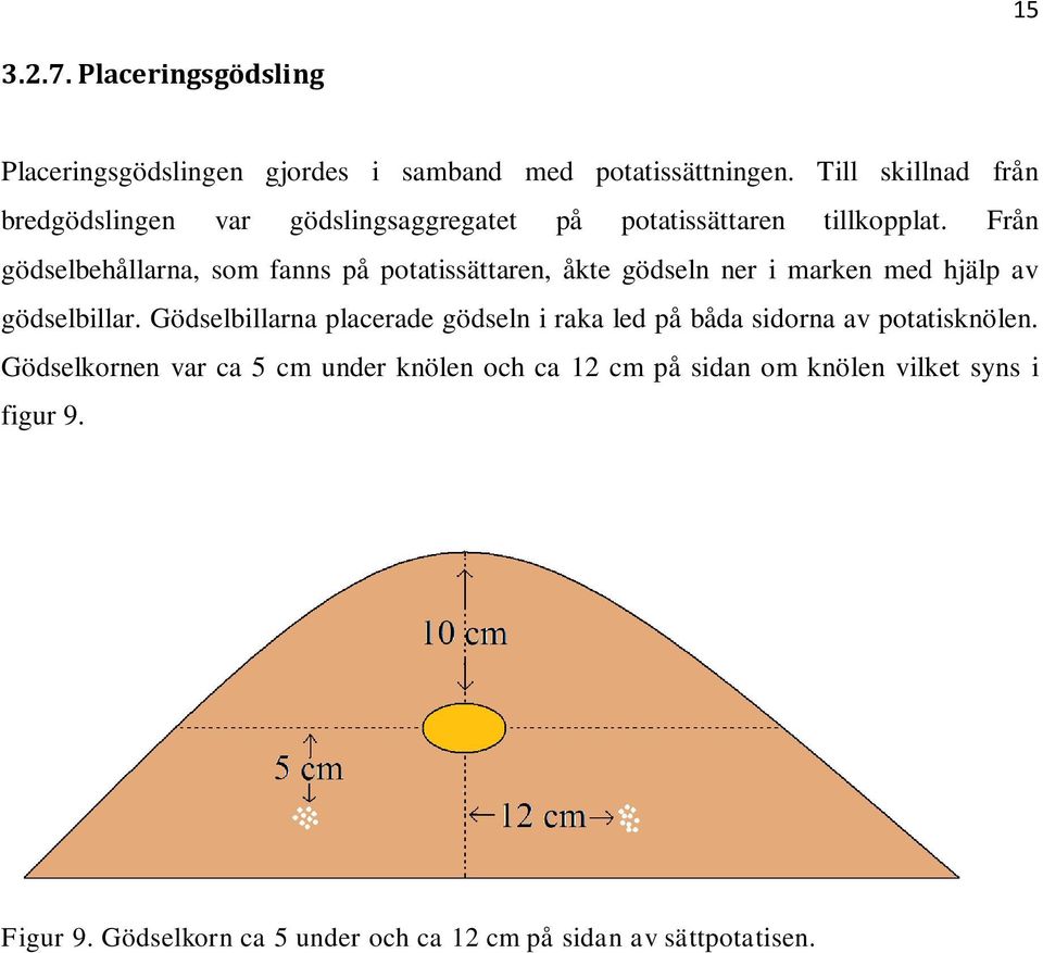 Från gödselbehållarna, som fanns på potatissättaren, åkte gödseln ner i marken med hjälp av gödselbillar.