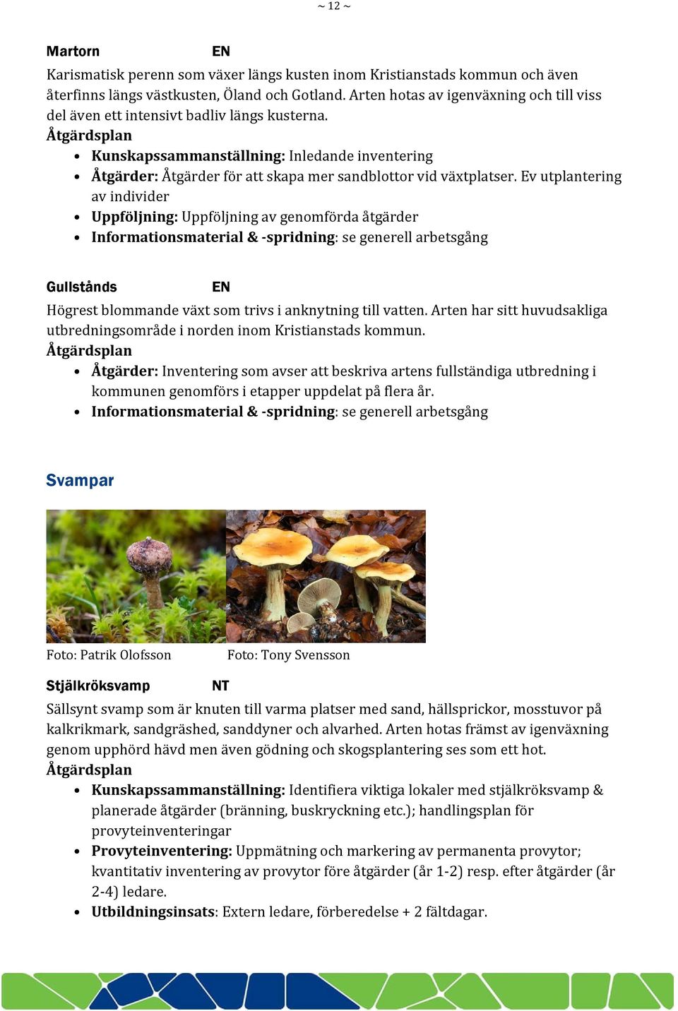 Ev utplantering av individer Uppföljning: Uppföljning av genomförda åtgärder Gullstånds EN Högrest blommande växt som trivs i anknytning till vatten.