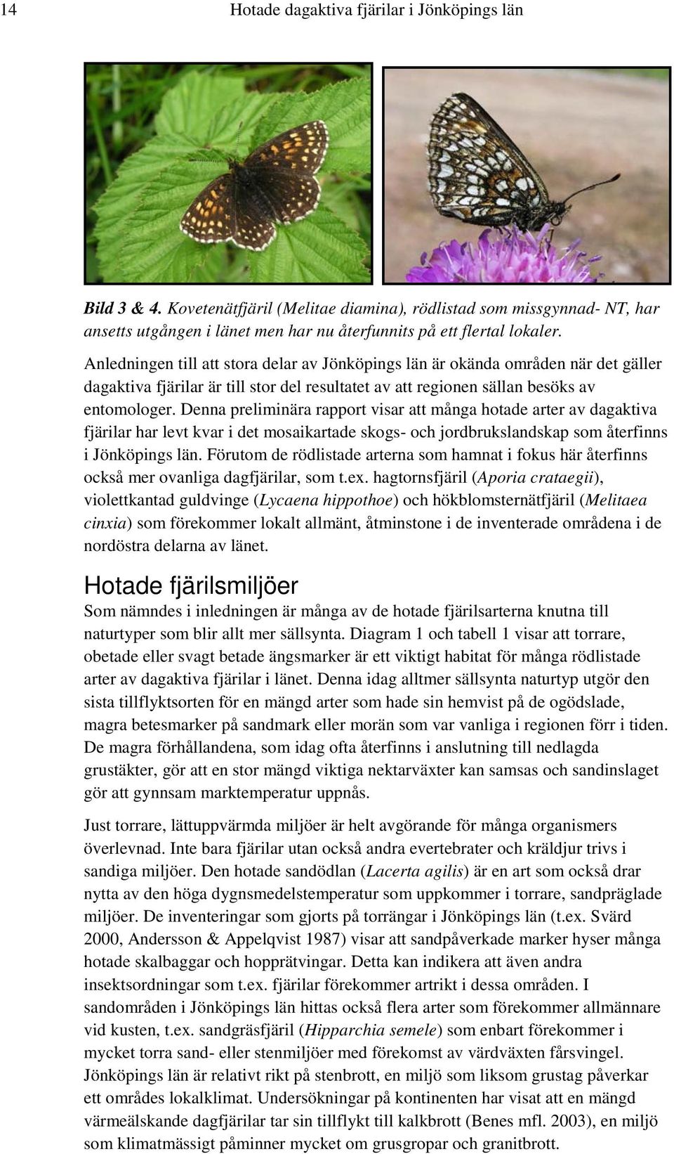 Denna preliminära rapport visar att många hotade arter av dagaktiva fjärilar har levt kvar i det mosaikartade skogs- och jordbrukslandskap som återfinns i Jönköpings län.