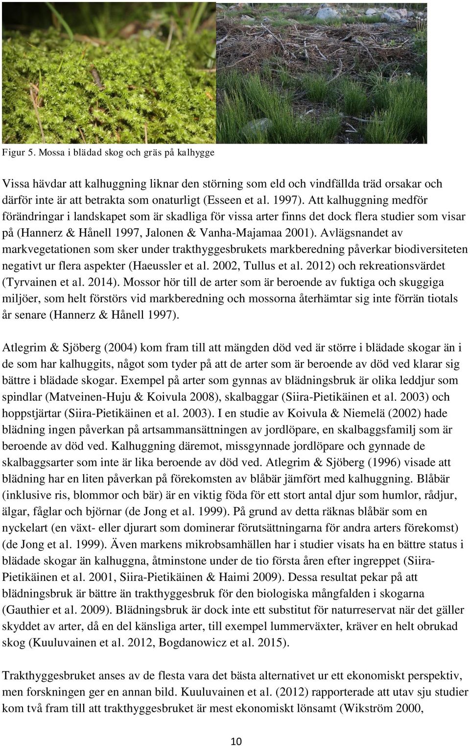 Avlägsnandet av markvegetationen som sker under trakthyggesbrukets markberedning påverkar biodiversiteten negativt ur flera aspekter (Haeussler et al. 2002, Tullus et al.