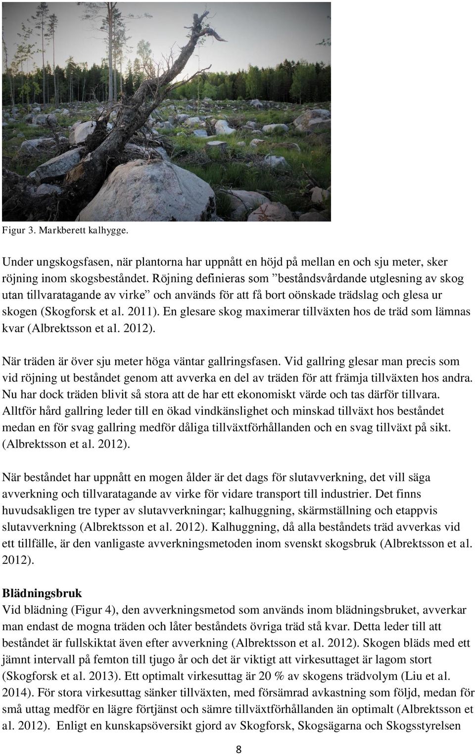 En glesare skog maximerar tillväxten hos de träd som lämnas kvar (Albrektsson et al. 2012). När träden är över sju meter höga väntar gallringsfasen.