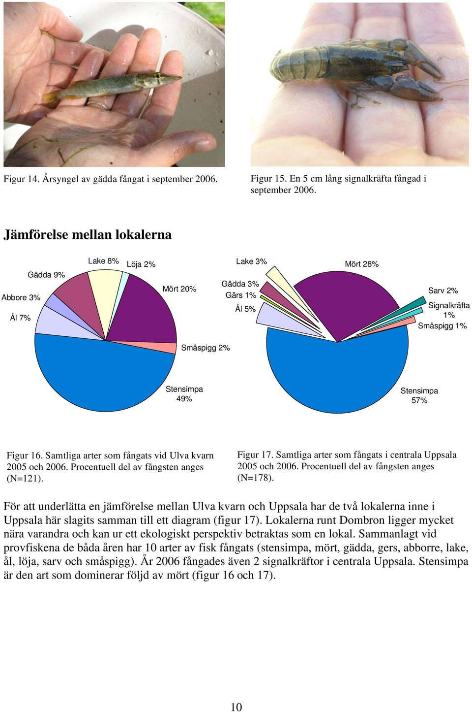 16. Samtliga arter som fångats vid Ulva kvarn 2005 och 2006. Procentuell del av fångsten anges (N=121). Figur 17. Samtliga arter som fångats i centrala Uppsala 2005 och 2006.