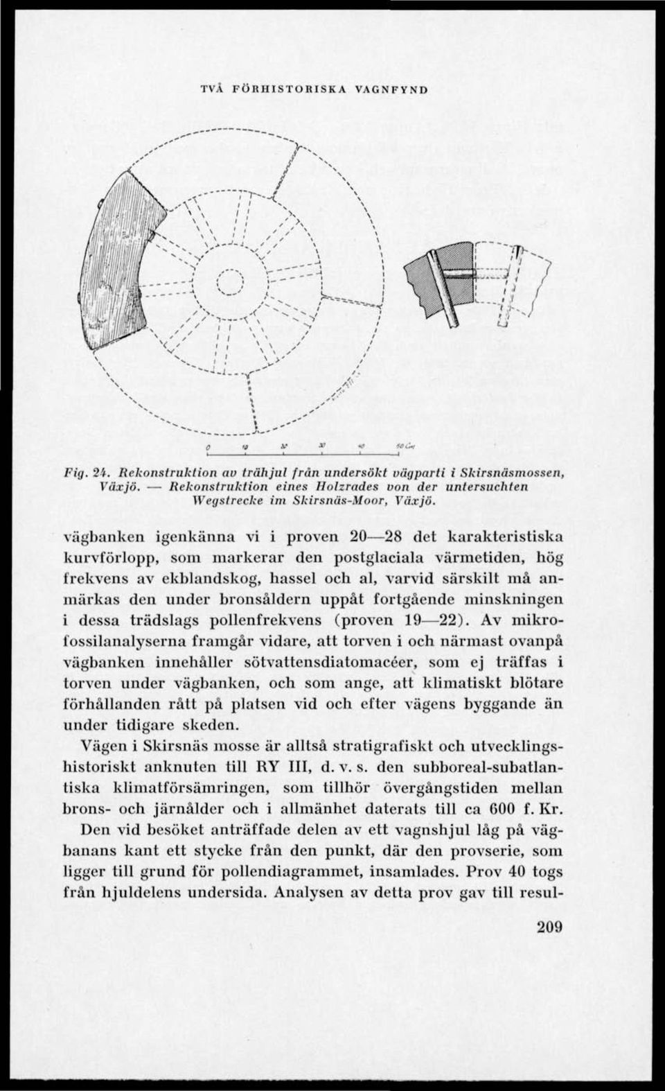 bronsåldern uppåt fortgående minskningen i dessa trädslags pollenfrekvens (proven 19 22).