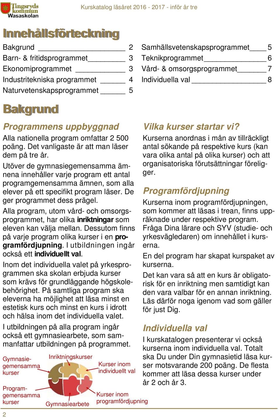 Utöver de gymnasiegemensamma ämnena innehåller varje program ett antal programgemensamma ämnen, som alla elever på ett specifikt program läser. De ger programmet dess prägel.