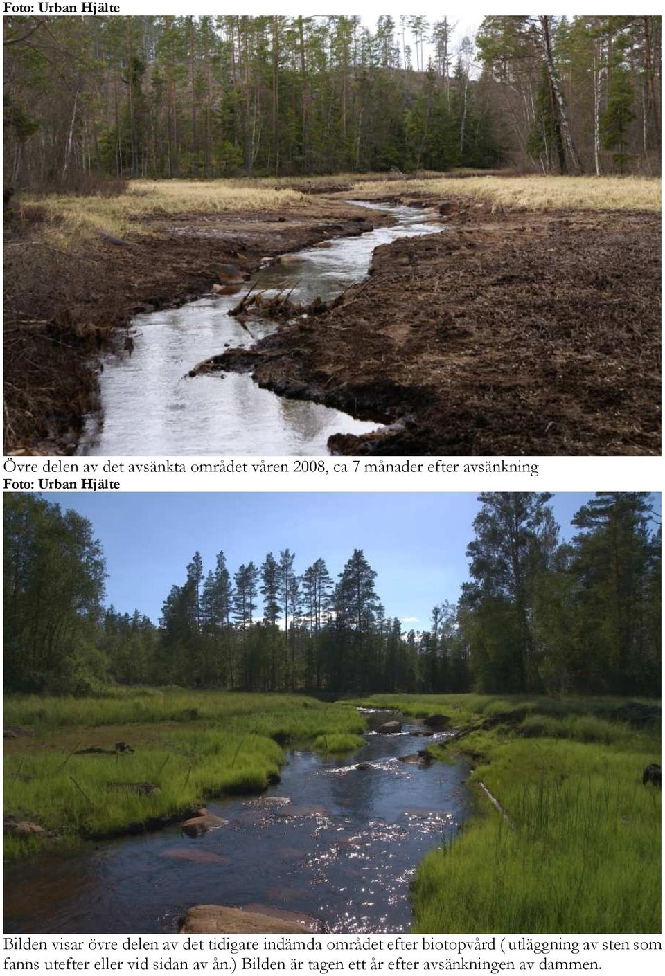 efter biotopvård ( utläggning av sten som fanns utefter eller vid