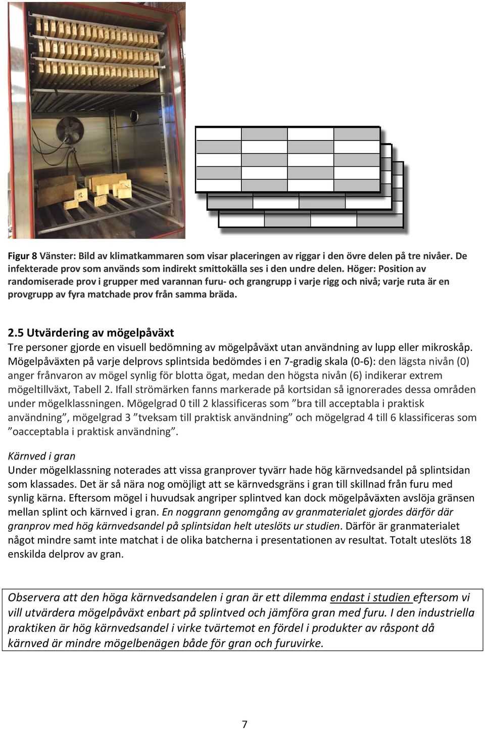 5 Utvärdering av mögelpåväxt Tre personer gjorde en visuell bedömning av mögelpåväxt utan användning av lupp eller mikroskåp.