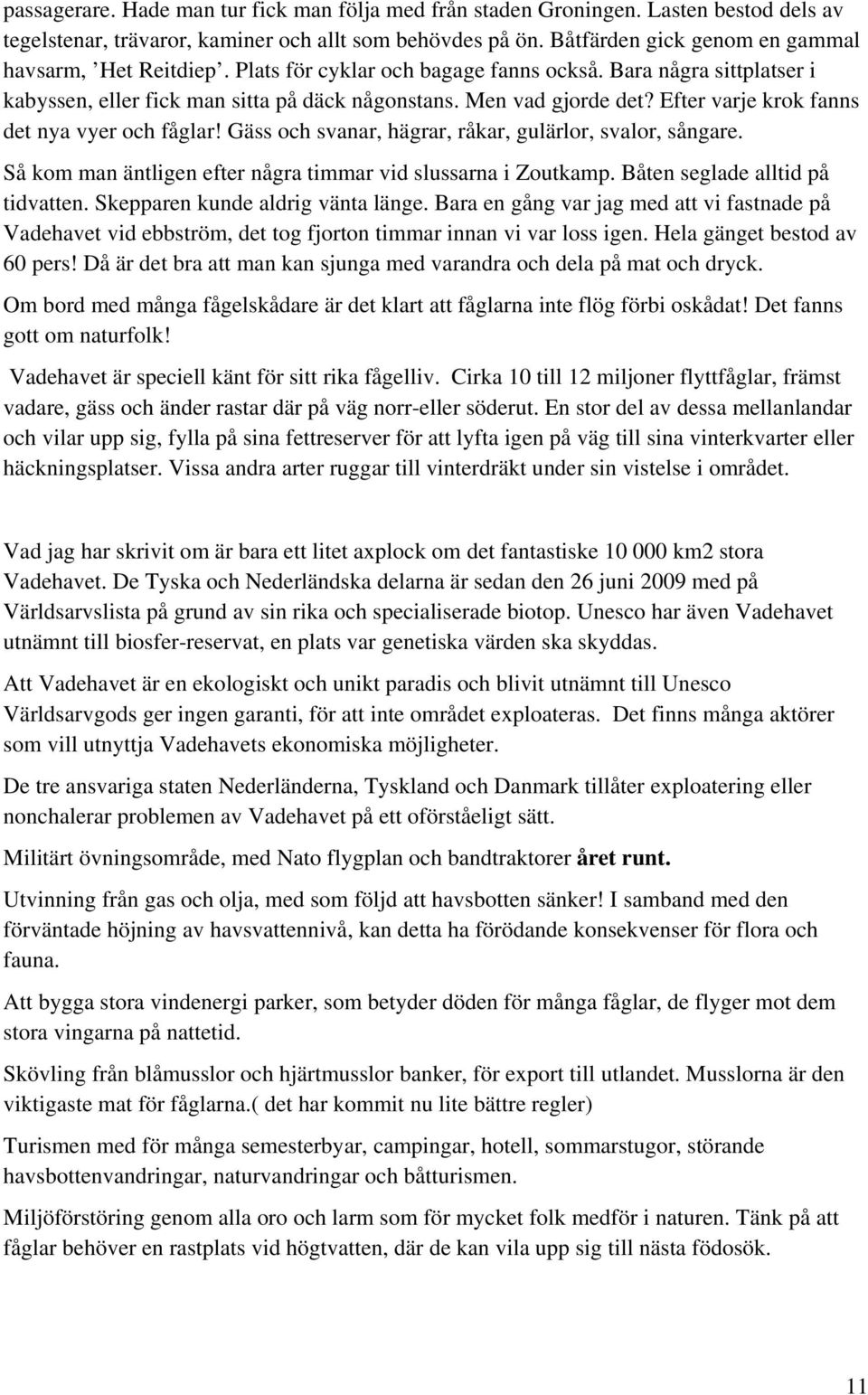 Efter varje krok fanns det nya vyer och fåglar! Gäss och svanar, hägrar, råkar, gulärlor, svalor, sångare. Så kom man äntligen efter några timmar vid slussarna i Zoutkamp.