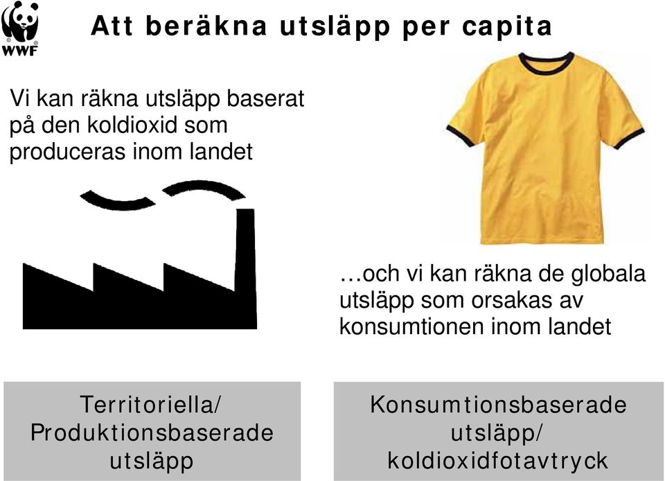 utsläpp som orsakas av konsumtionen inom landet Territoriella/