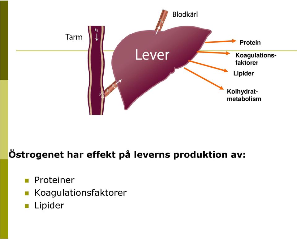 Kolhydratmetabolism Östrogenet har