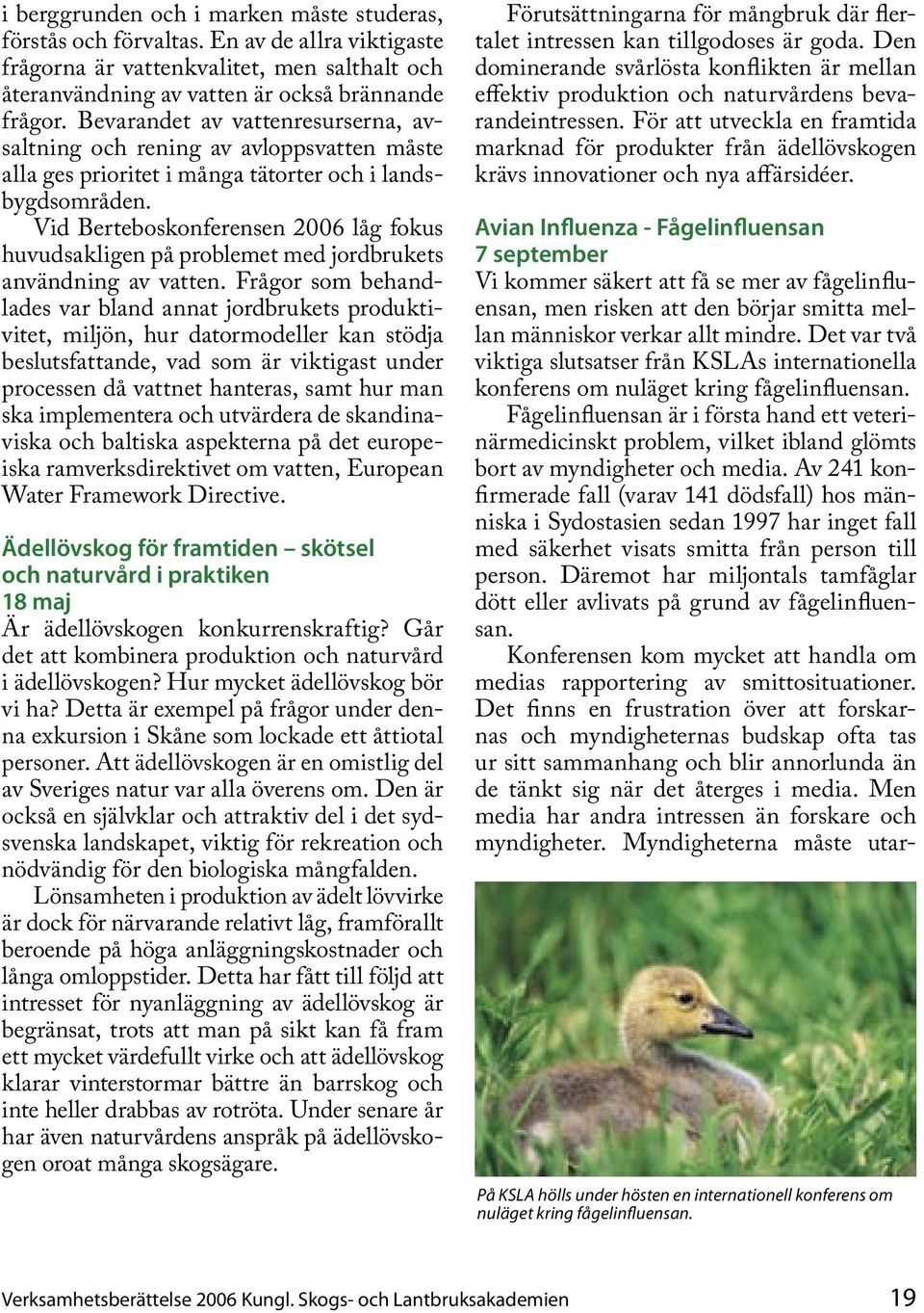 Vid Berteboskonferensen 2006 låg fokus huvudsakligen på problemet med jordbrukets användning av vatten.