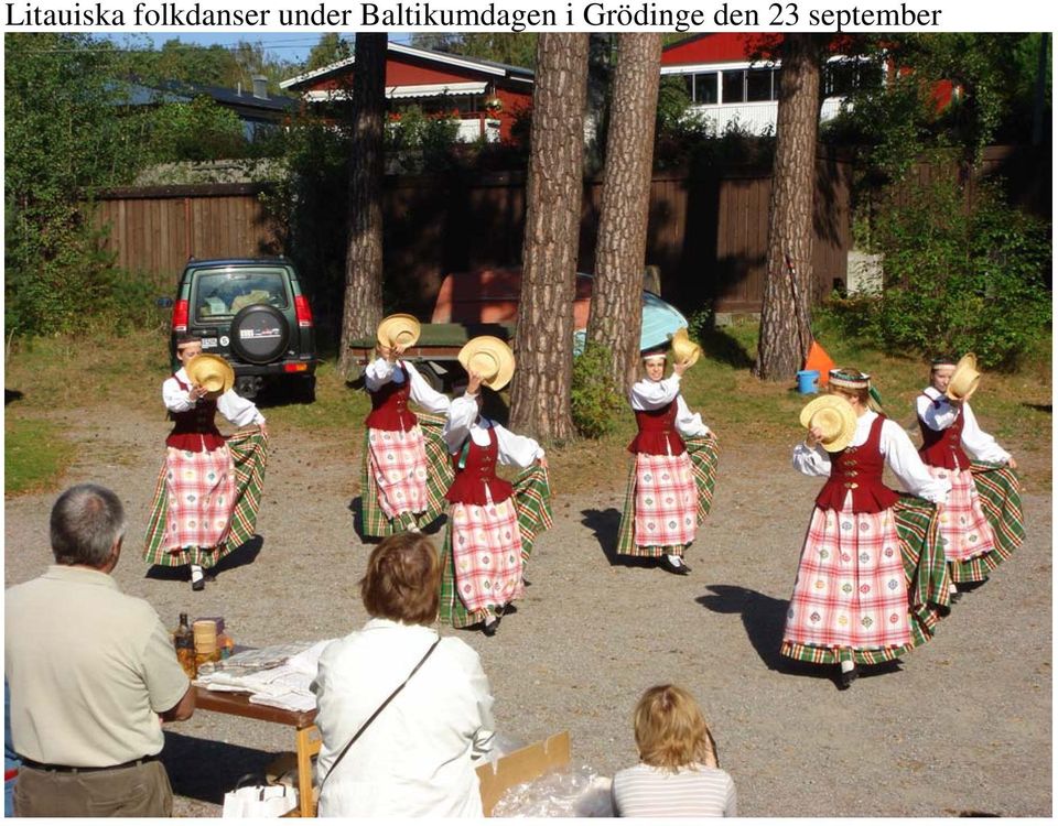 Baltikumdagen i