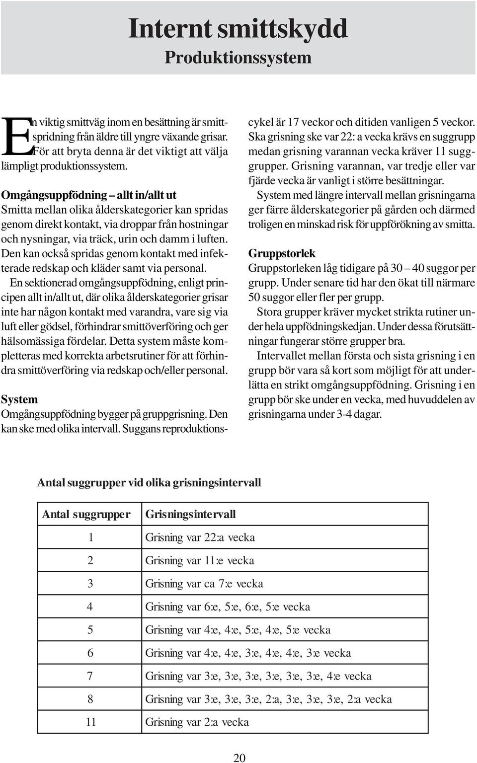 Omgångsuppfödning allt in/allt ut Smitta mellan olika ålderskategorier kan spridas genom direkt kontakt, via droppar från hostningar och nysningar, via träck, urin och damm i luften.