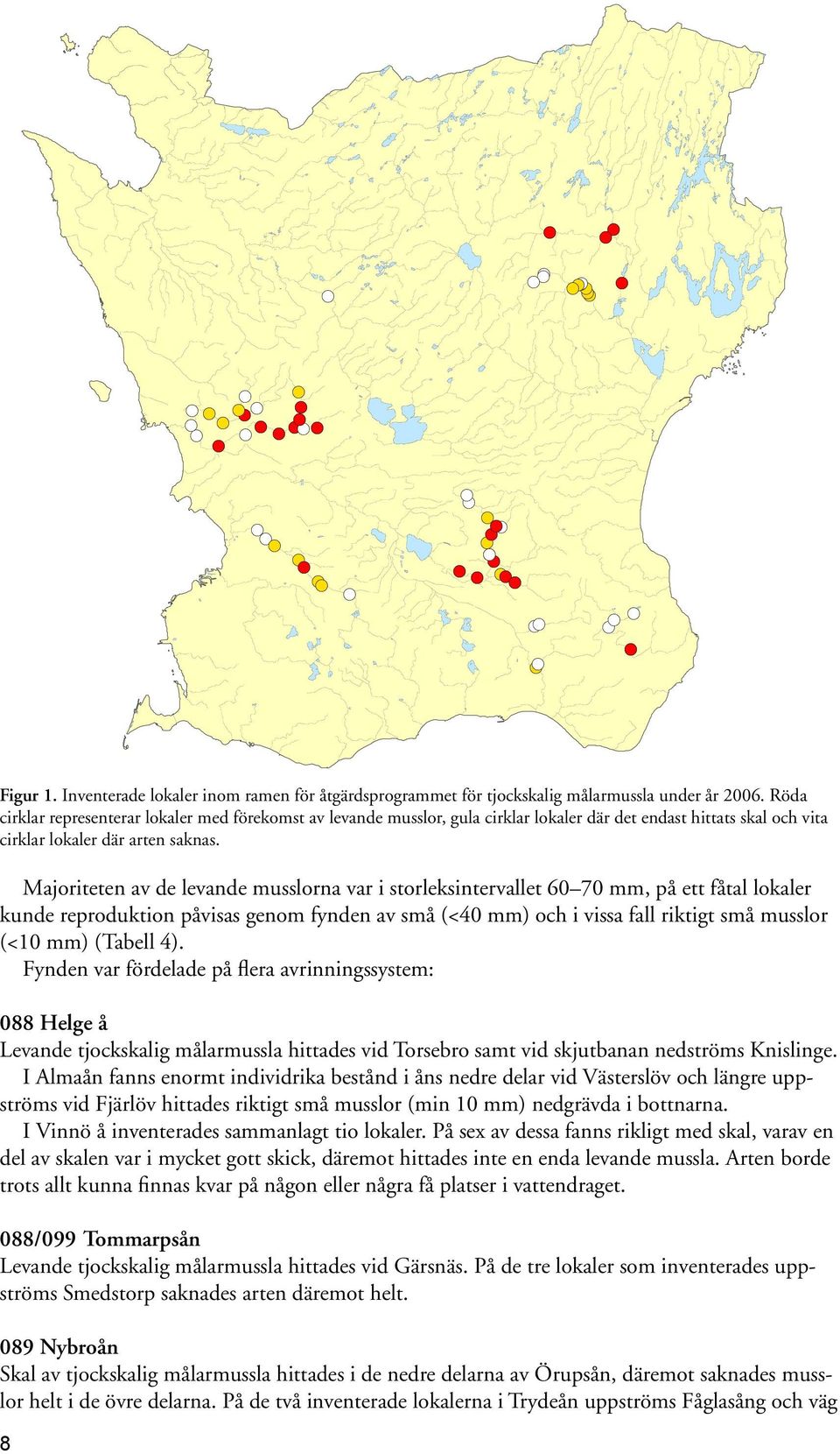 Röda cirklar representerar lokaler med förekomst av levande musslor, gula cirklar lokaler där det endast hittats skal och vita cirklar lokaler där arten saknas.