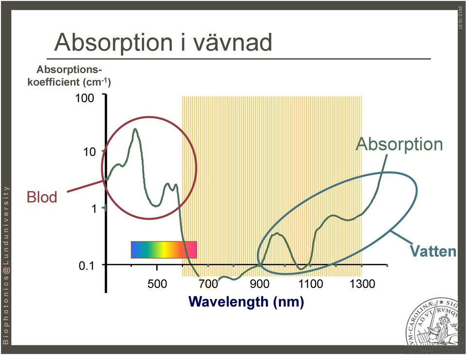 100 10 Absorption Blod 1 0.