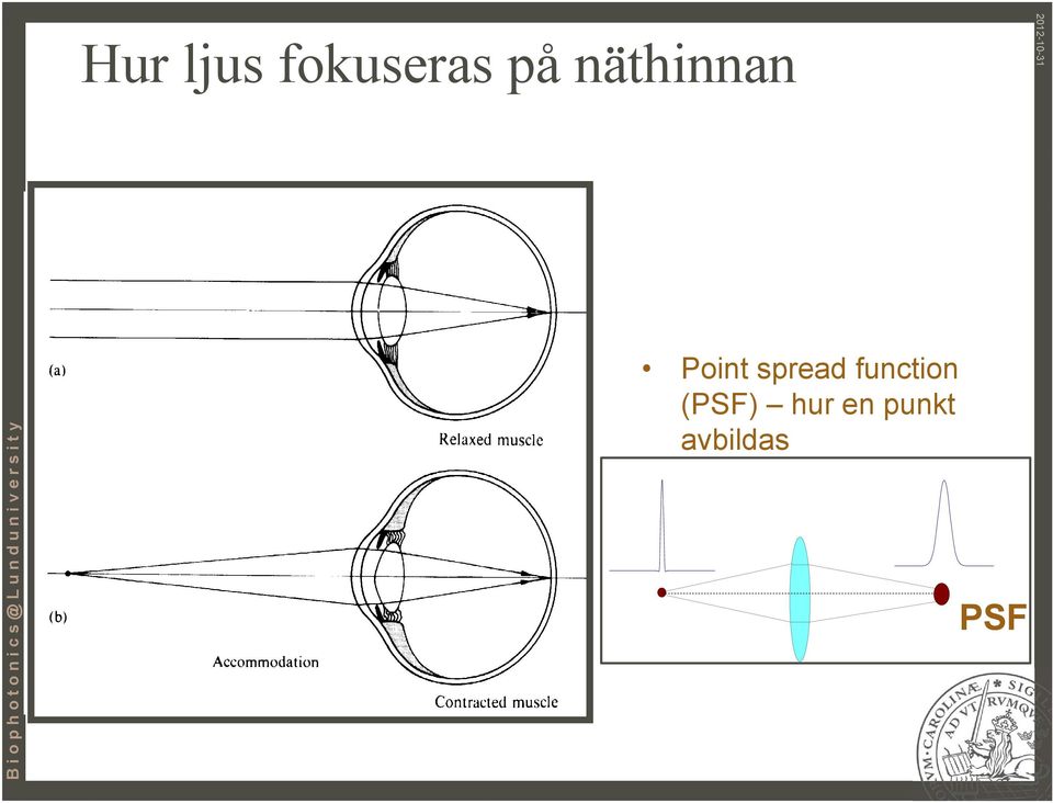 spread function (PSF)