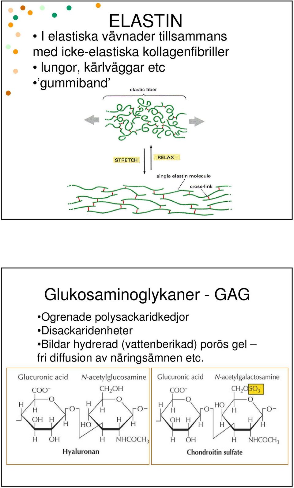 Glukosaminoglykaner - GAG Ogrenade polysackaridkedjor