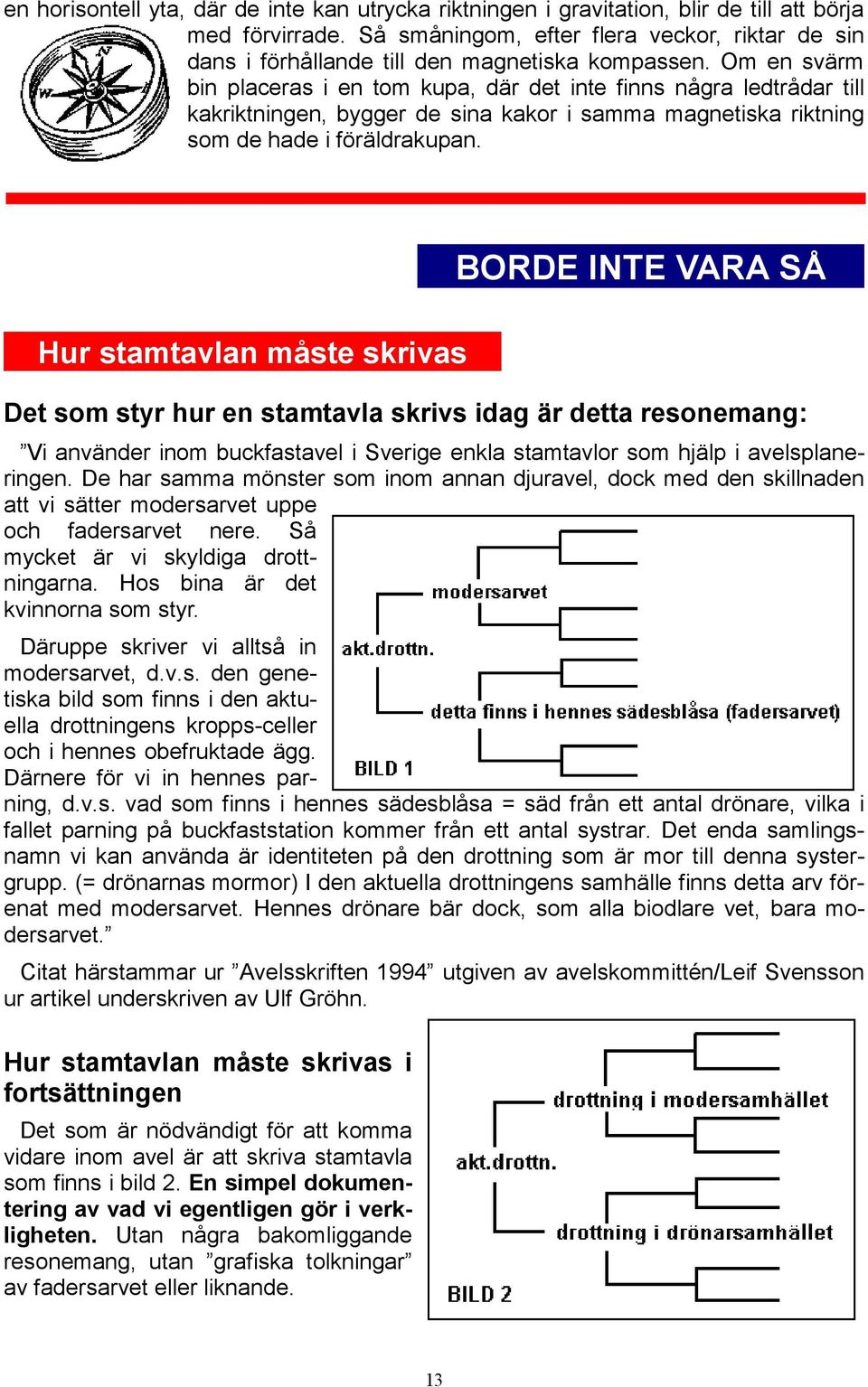 Om en svärm bin placeras i en tom kupa, där det inte finns några ledtrådar till kakriktningen, bygger de sina kakor i samma magnetiska riktning som de hade i föräldrakupan.