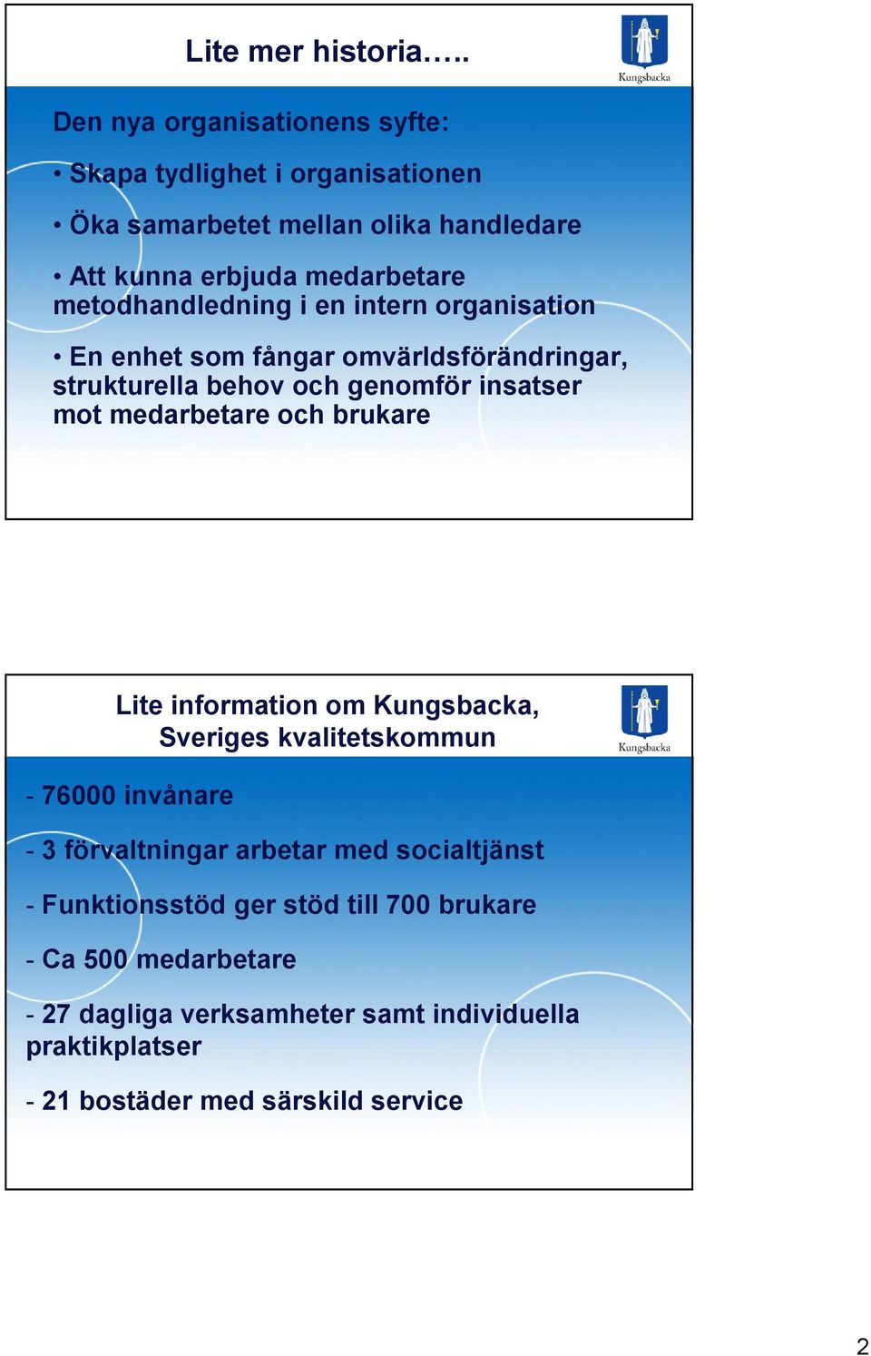 metodhandledning i en intern organisation En enhet som fångar omvärldsförändringar, strukturella behov och genomför insatser mot medarbetare och