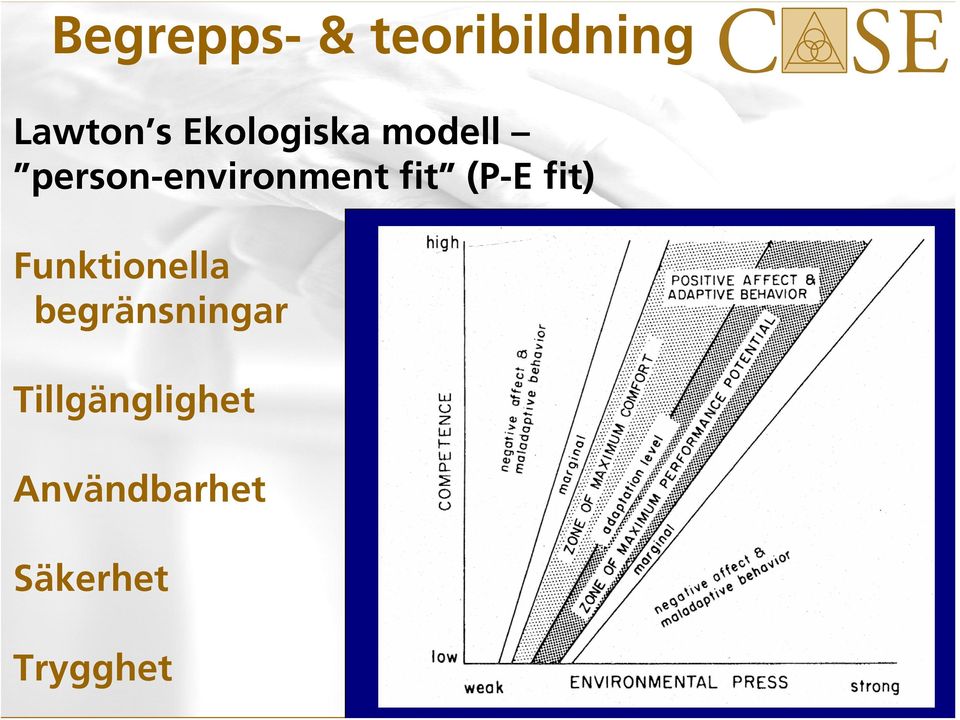 fit (P-E fit) Funktionella