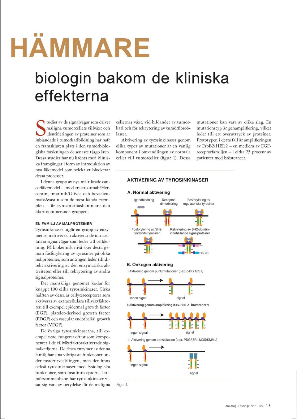 Dessa studier har nu krönts med kliniska framgångar i form av introduktion av nya läkemedel som selektivt blockerar dessa processer.