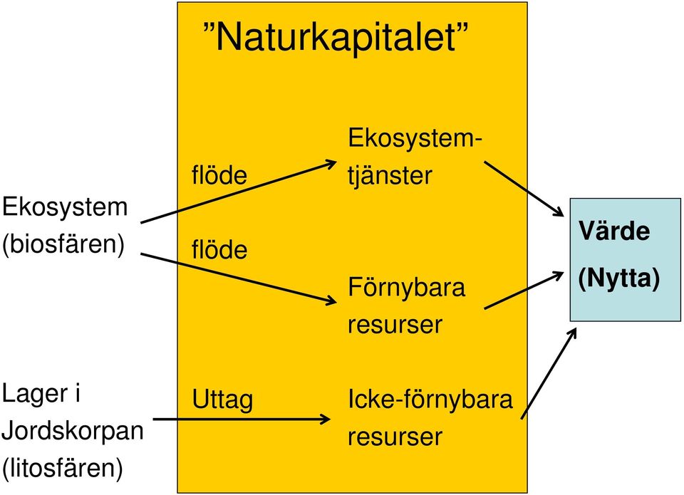 Förnybara Värde (Nytta) resurser Lager i