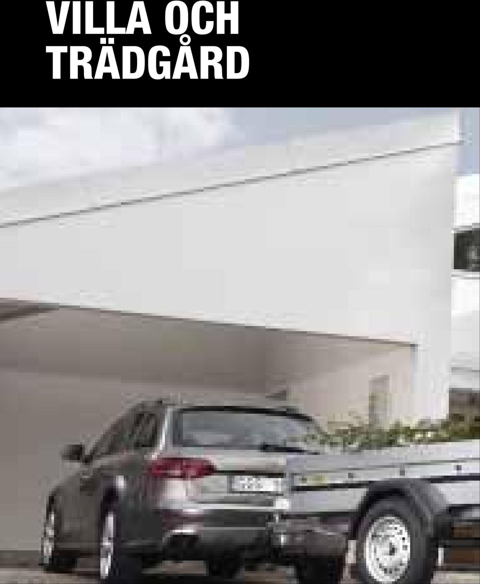 trädgård