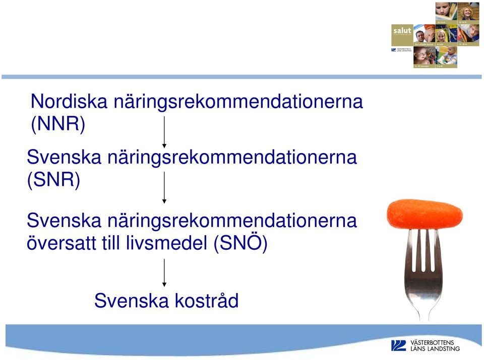 (SNR) Svenska näringsrekommendationerna