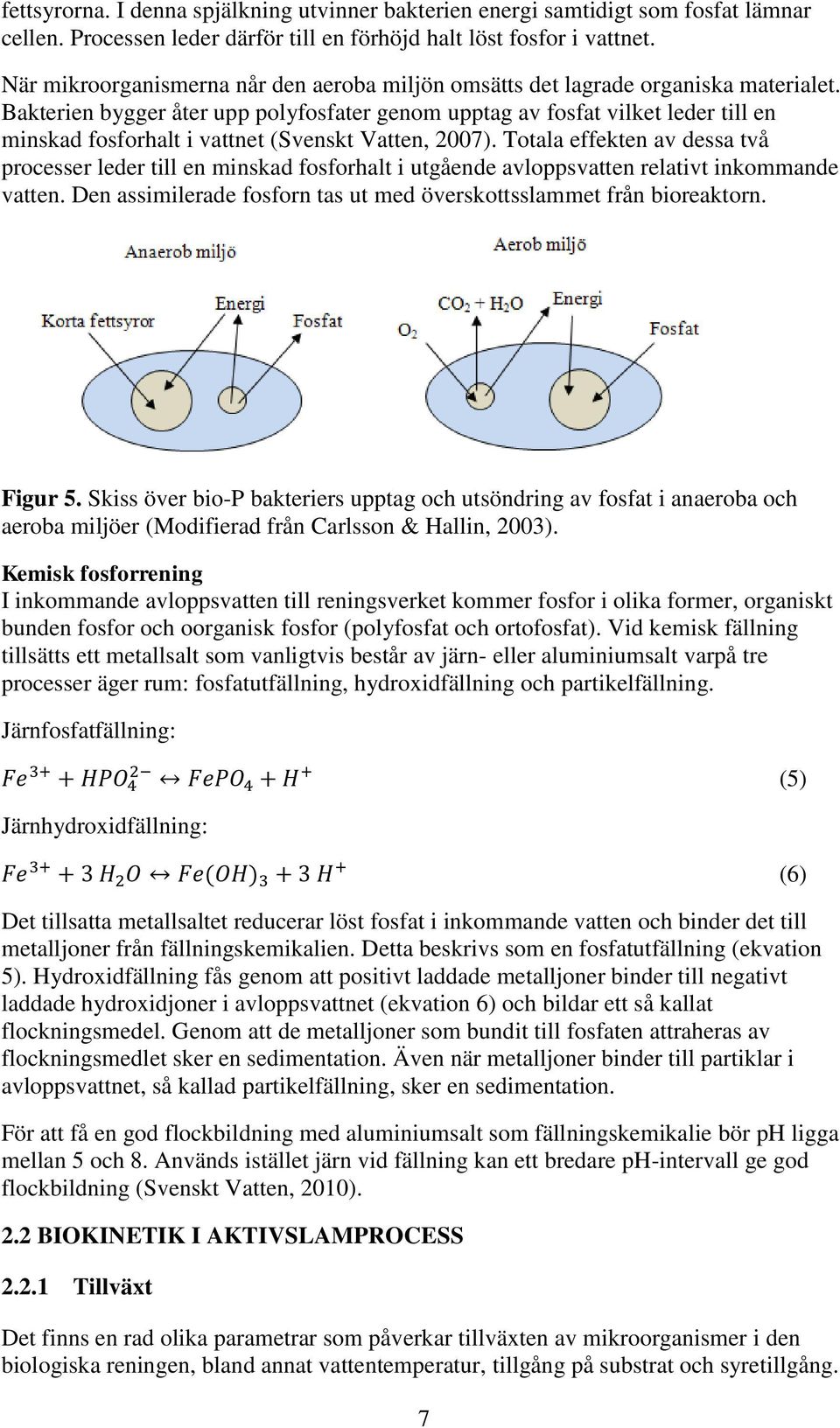 Bakterien bygger åter upp polyfosfater genom upptag av fosfat vilket leder till en minskad fosforhalt i vattnet (Svenskt Vatten, 2007).